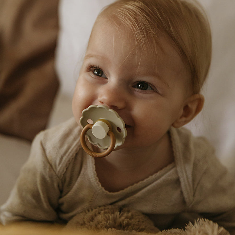 The magical tradition of the pacifier tree