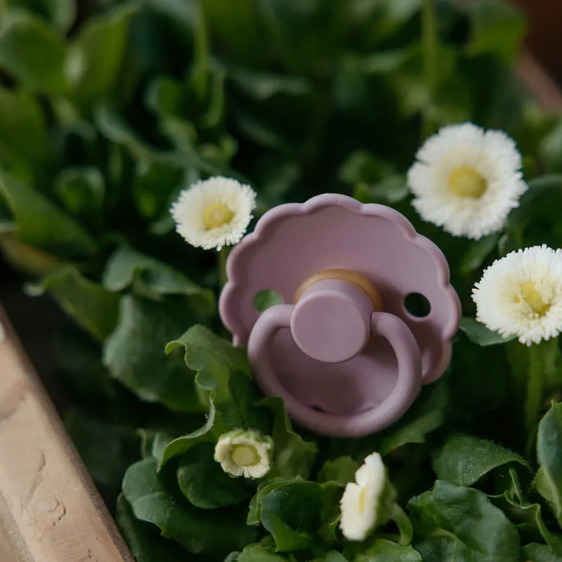 FRIGG Round Pacifier - Daisy Silicone Size 2 - Heather