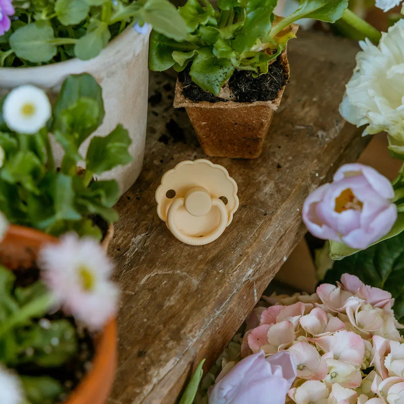 FRIGG Round Pacifier - Daisy Silicone Size 1 - Pale Daffodil