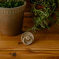 FRIGG Pacifier - Rope Latex 2-Pack Size 2 - Portobello/Croissant