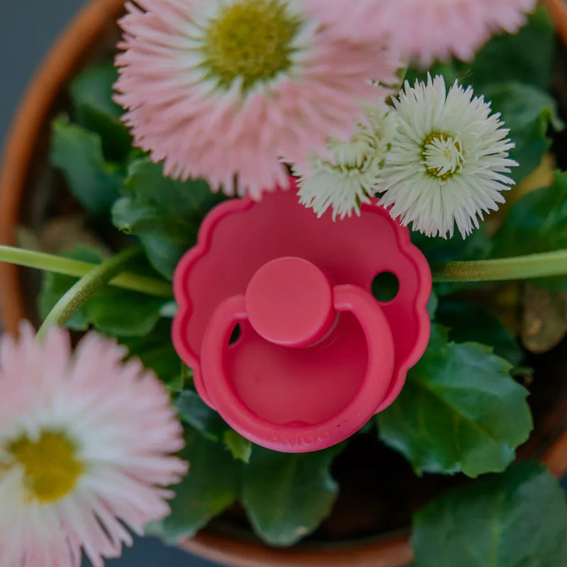 FRIGG Round Pacifier - Daisy Silicone Size 1 - Fuchsia